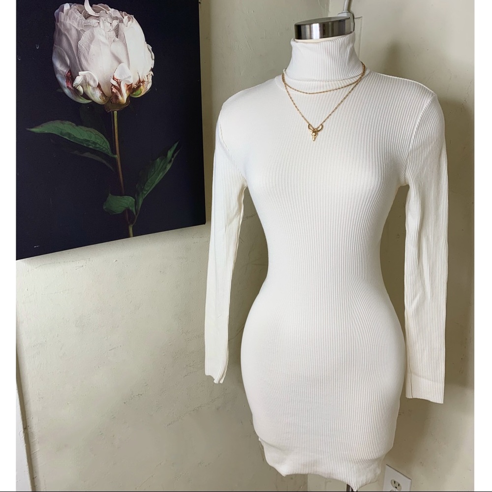 Turtleneck sweater dress